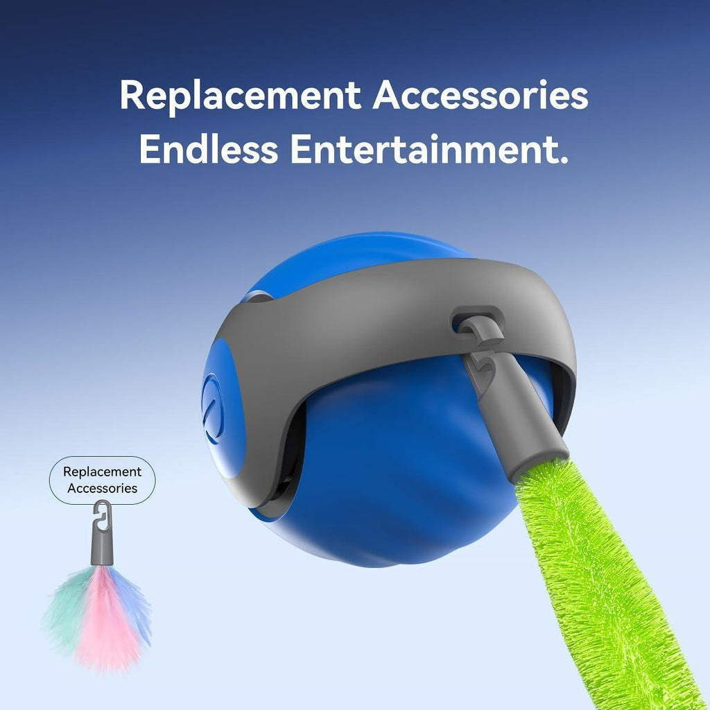Interactive Cat Toys for Indoor Cats, Rechargeable